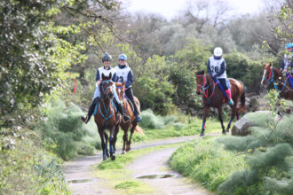 endurance-sardegna-2026-abbasanta-cavallo