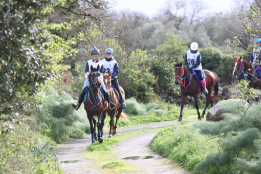 endurance-sardegna-2026-abbasanta-cavallo