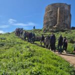 arte-contemporanea-nel-Sinis