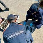 pesca-illegale-nel-sinis